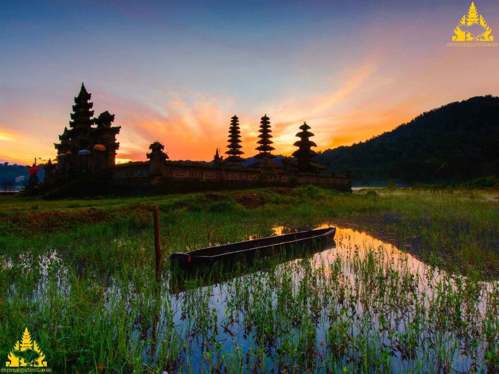 Bali Village Tour - Trips Bali