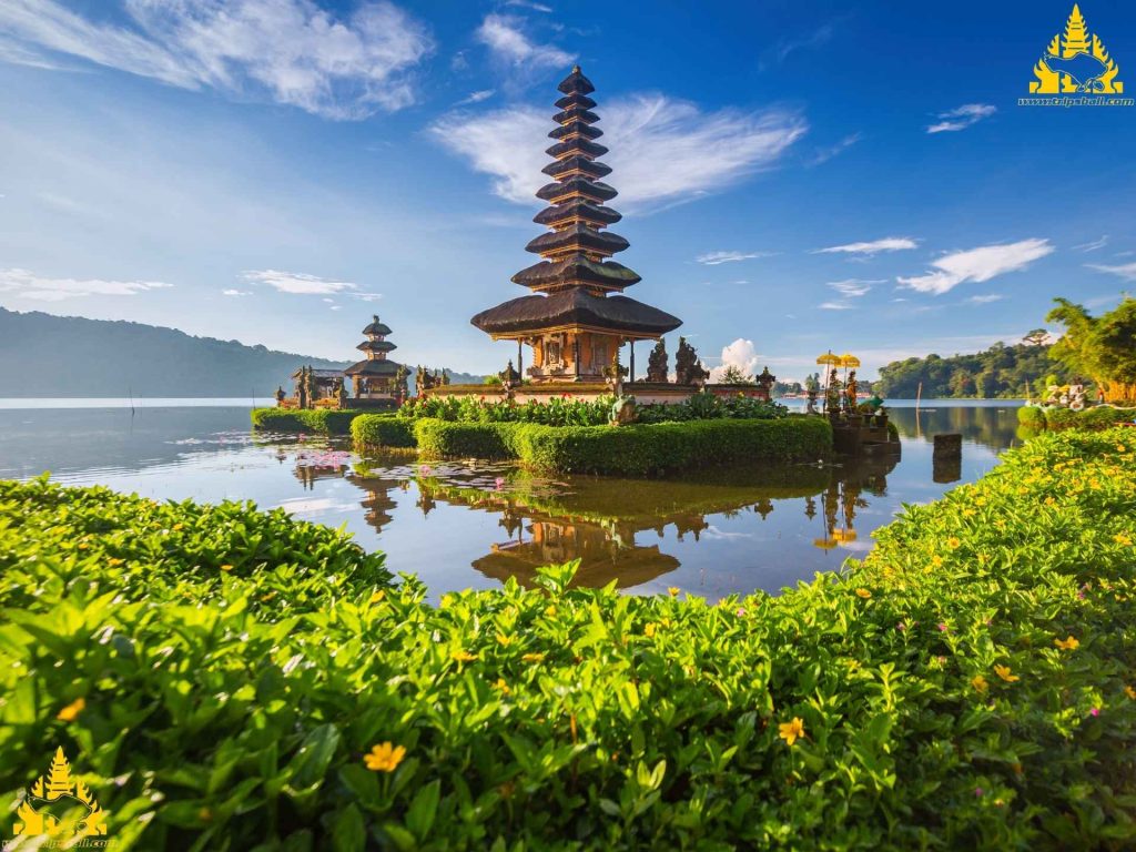 Bali Sekumpul Waterfall Tour - Trips Bali