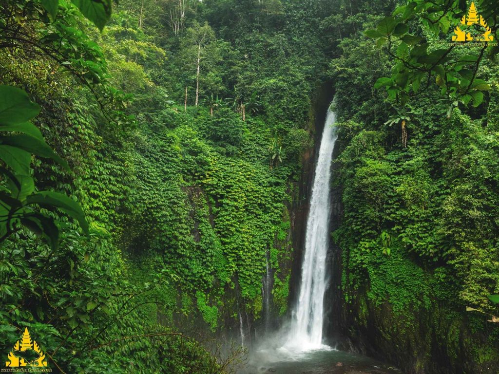 Bali Sekumpul Waterfall Tour