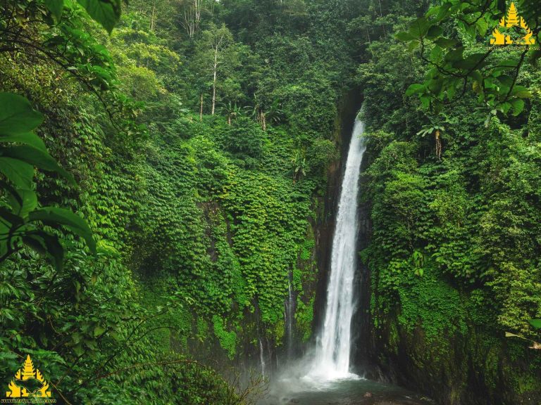 Bali Sekumpul Waterfall Tour