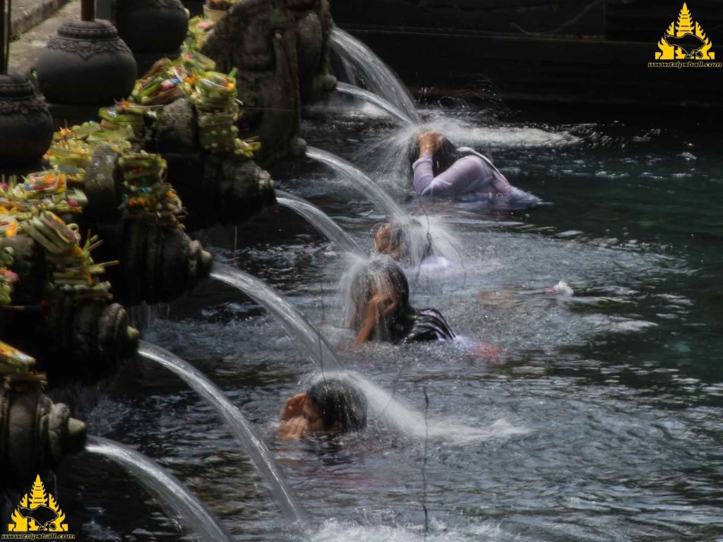 Bali Kintamani Tour - Trips Bali