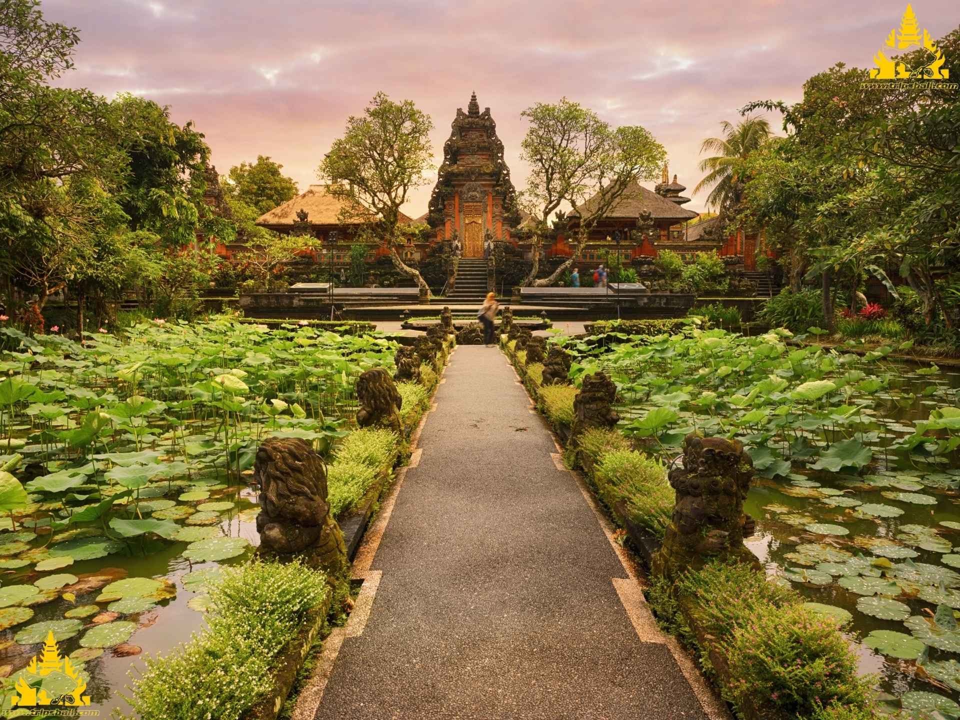 Bali Ubud Tour