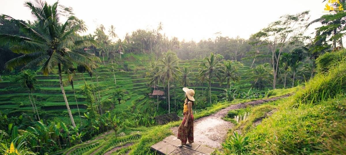 Ubud Rice Terrace Tegalalang