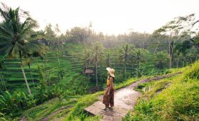 Ubud Rice Terrace Tegalalang