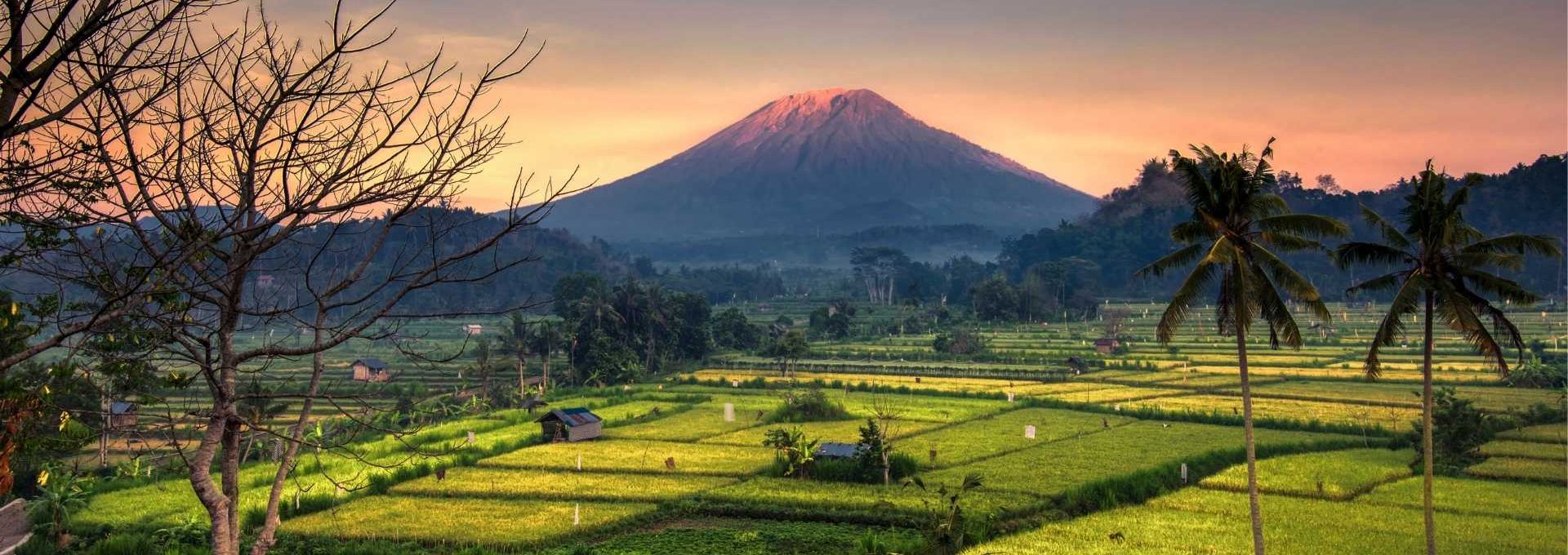 Kasrangasem Bali, Trips Bali, trip types