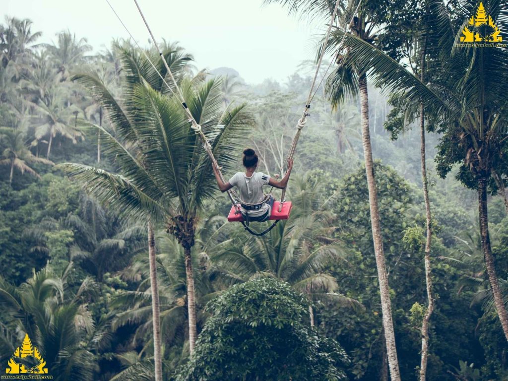 Real Bali Swing: The Ultimate Ubud Swing Experience in Bali - Trips Bali